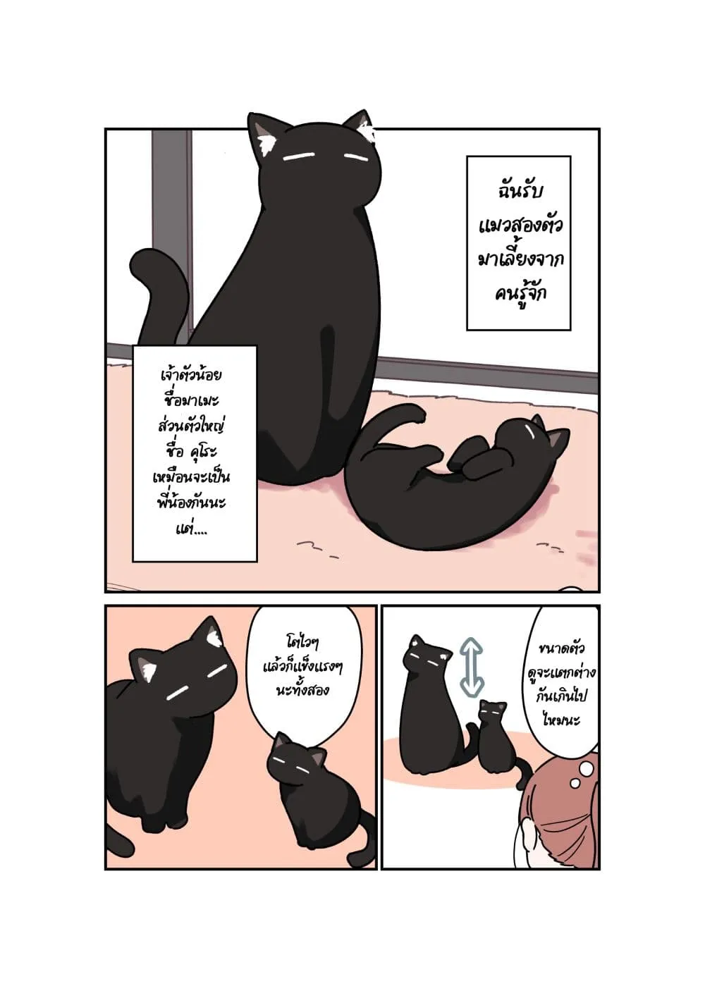 Manga-lc-com อ่านมังงะ อ่านการ์ตูน ออนไลน์ ฟรี Uchi no Kuroneko, Onna no Ko ตอนที่ 1 2 3 4 5 6 7 8 9 10 11 12 13 14 ฟรี ไม่มีโฆษณา Manga-lc - อ่าน มังงะ อ่าน การ์ตูน ออนไลน์ อ่านมังงะ ฟรี