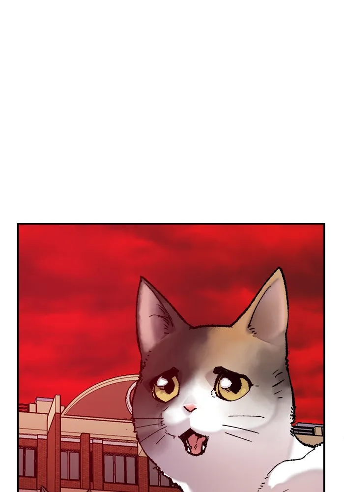 ยอดคนเลเวลทะลุ ตอนที่ 41 ไฮฟ์ รูปที่ 74