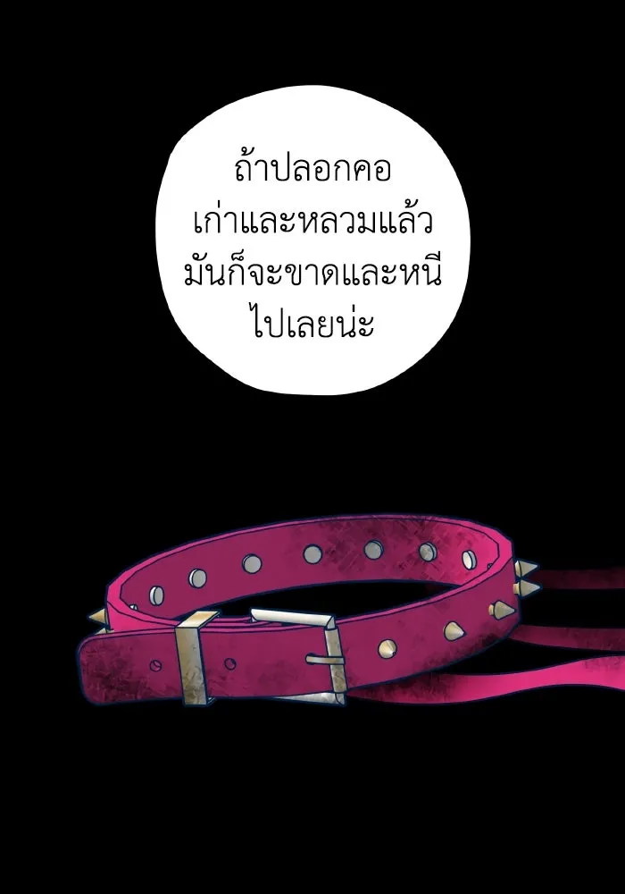 รักนี้ไม่มีรีไซเคิล ตอนที่ 78 รูปที่ 26