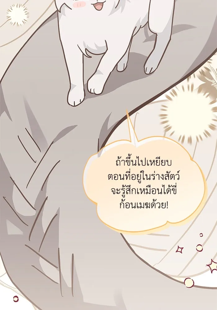 แมวน้อยในรังหมาป่า ตอนที่ 49 รูปที่ 22