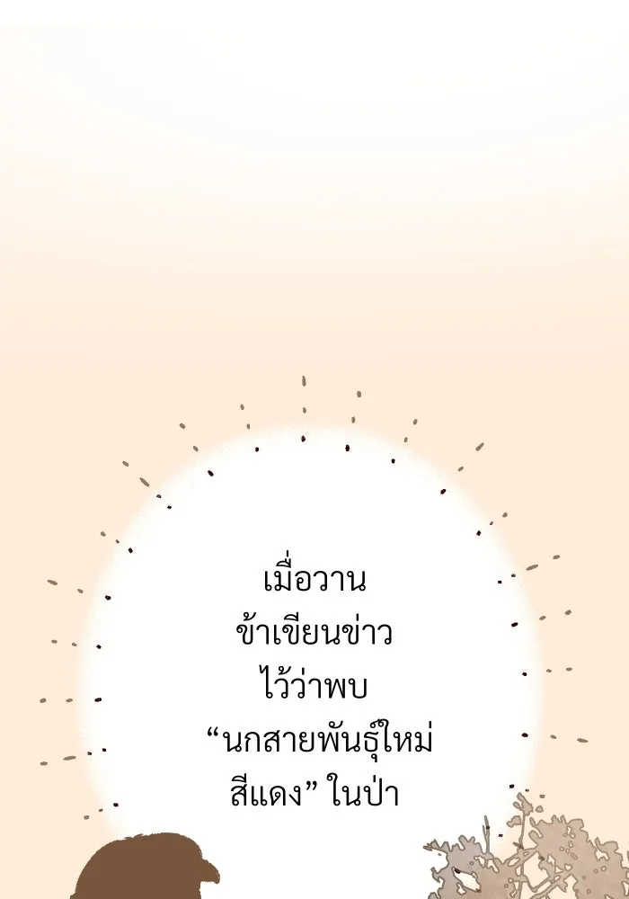 จันทร์เจ้า ตอนที่ ตอนที่ ๘  ยิ่งงดงามเท่าไหร่ยิ่งอั รูปที่ 76