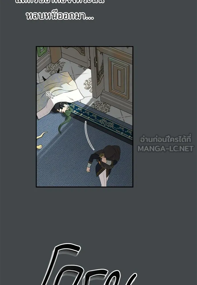 อัศวินเดลิเวอรี ตอนที่ 35 เทพธิดามาเรก้า รูปที่ 36