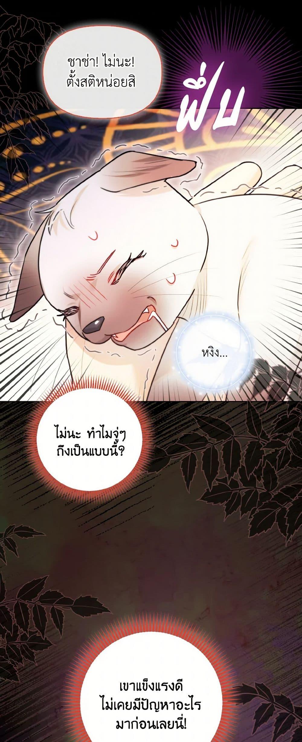 Manga-lc-com อ่านมังงะ อ่านการ์ตูน ออนไลน์ ฟรี I Possessed a Villainess, but I Wanna Raise Cats! ตอนที่ 1 2 3 4 5 6 7 8 9 10 11 12 13 14 ฟรี ไม่มีโฆษณา Manga-lc - อ่าน มังงะ อ่าน การ์ตูน ออนไลน์ อ่านมังงะ ฟรี