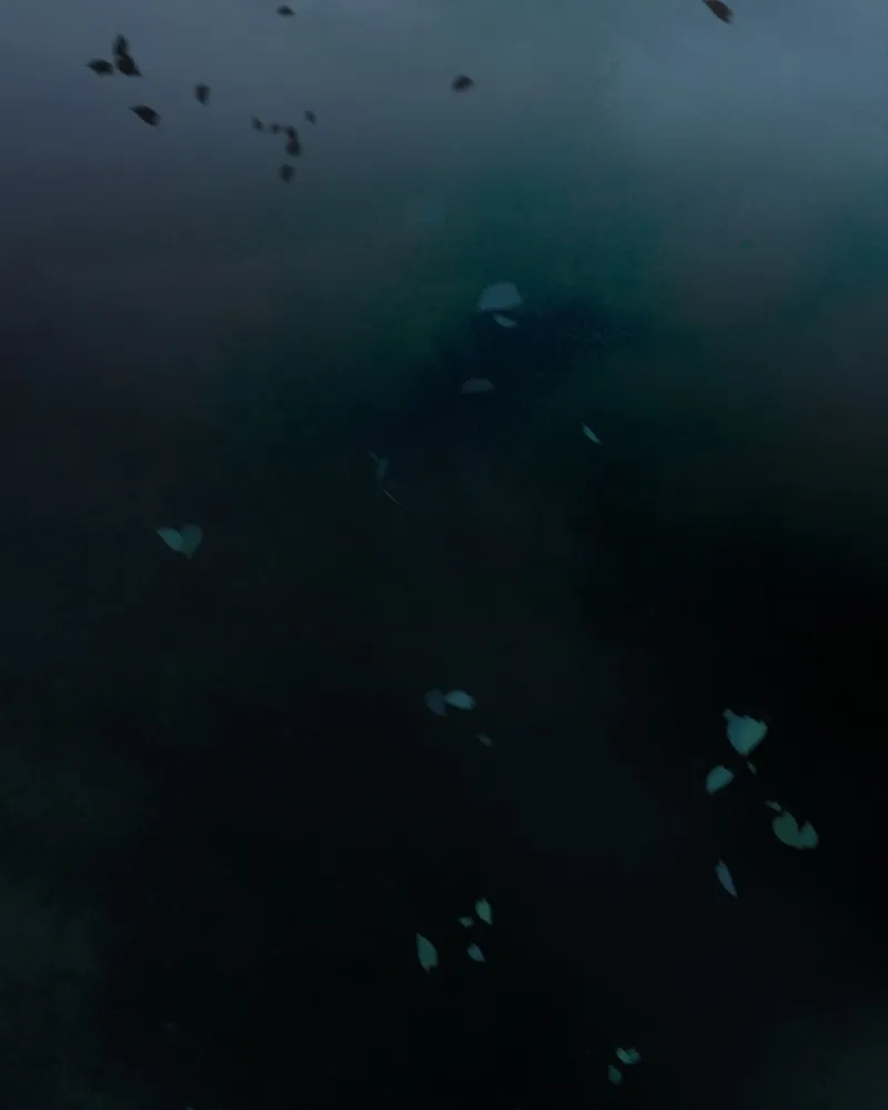 เซเรน่า ตอนที่ 42 รูปที่ 77