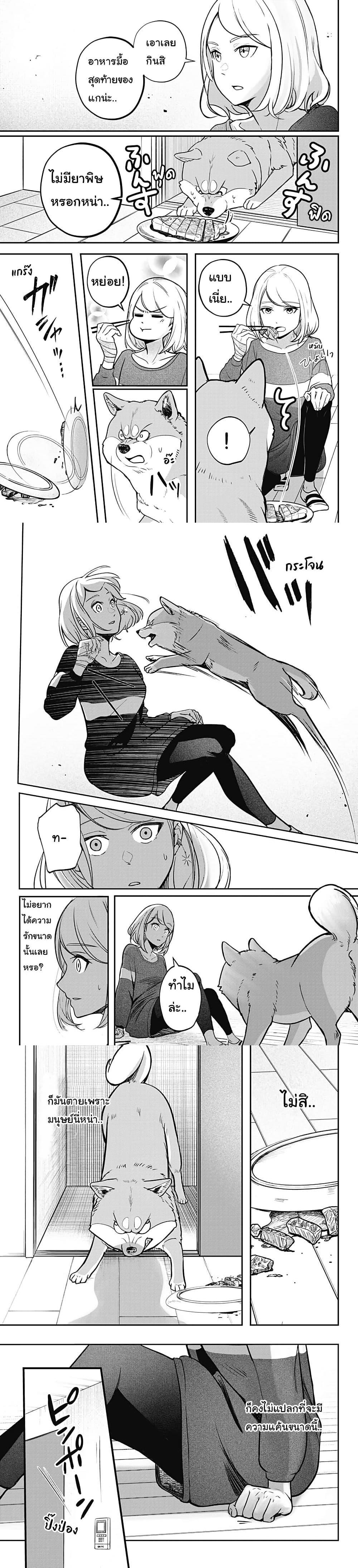 Manga-lc-com อ่านมังงะ อ่านการ์ตูน ออนไลน์ ฟรี Shiba Inu Rooms ตอนที่ 1 2 3 4 5 6 7 8 9 10 11 12 13 14 ฟรี ไม่มีโฆษณา Manga-lc - อ่าน มังงะ อ่าน การ์ตูน ออนไลน์ อ่านมังงะ ฟรี