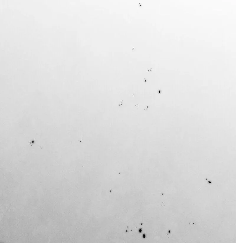 The Divine Demon_s Grand Ascension เส_นทางชำระแค_นส_เทวมารผ_พ_ช_ตสวรรค_ ตอนที่ ตอนที่ 40 รูปที่ 63