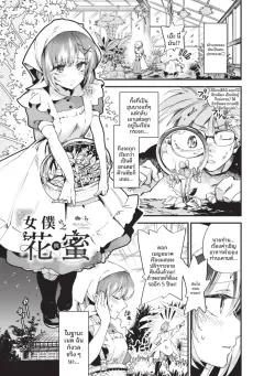 Doujin-Lc- อ่าน โดจิน มังฮวา เกาหลี ญี่ปุ่น จีน แปลไทย ชอบอยู่กับอาจารย์มากกว่า [Senoo Hibiteru] ตอนที่ 1 2 3 4 5 6 7 8 9 10 11 12 13 14 ฟรี ไม่มีโฆษณา อ่าน โดจิน Manhwa เกาหลี ญี่ปุ่น จีน เรามีครบ คัดมาให้เน้นๆ โดจิน 18+ รับประกันความฟินโดย  Doujin Lc