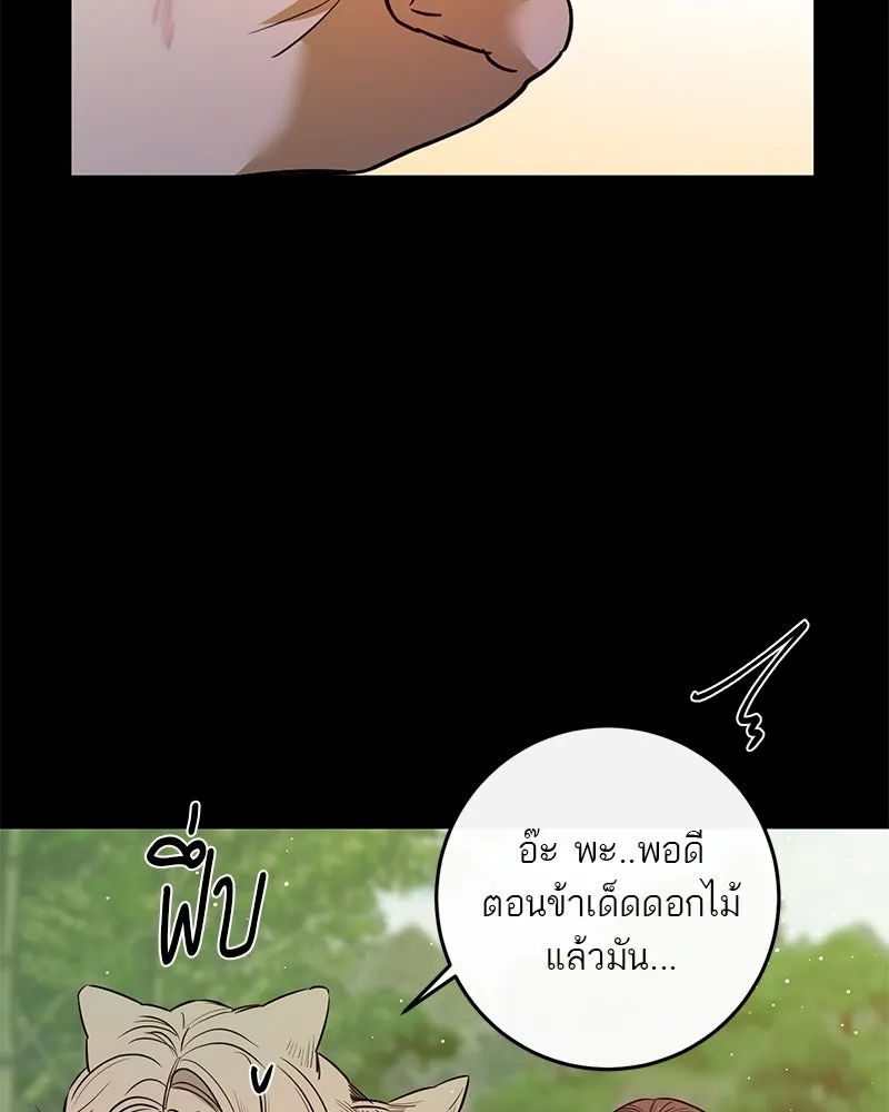 ตำนานเทพธิดาตกสวรรค์ ตอนที่ 40 รูปที่ 41