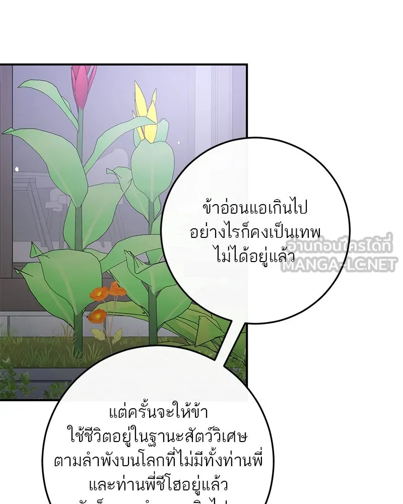 ตำนานเทพธิดาตกสวรรค์ ตอนที่ 116 รูปที่ 72