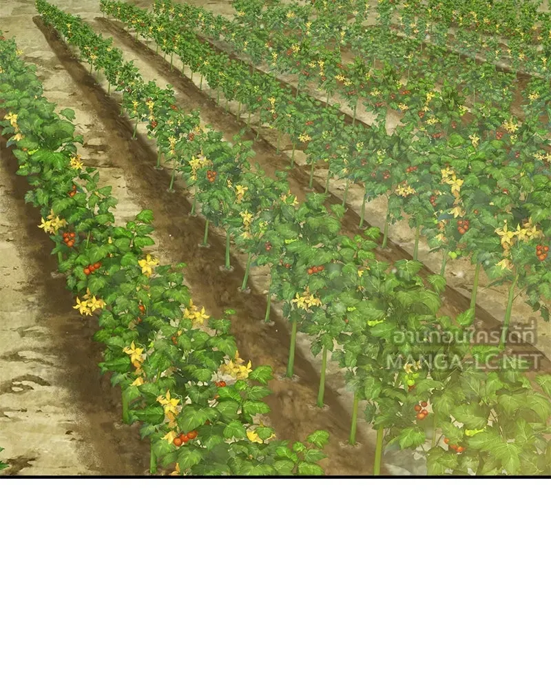 ปลูกผักพิชิตหอคอย ตอนที่ 97 รูปที่ 204