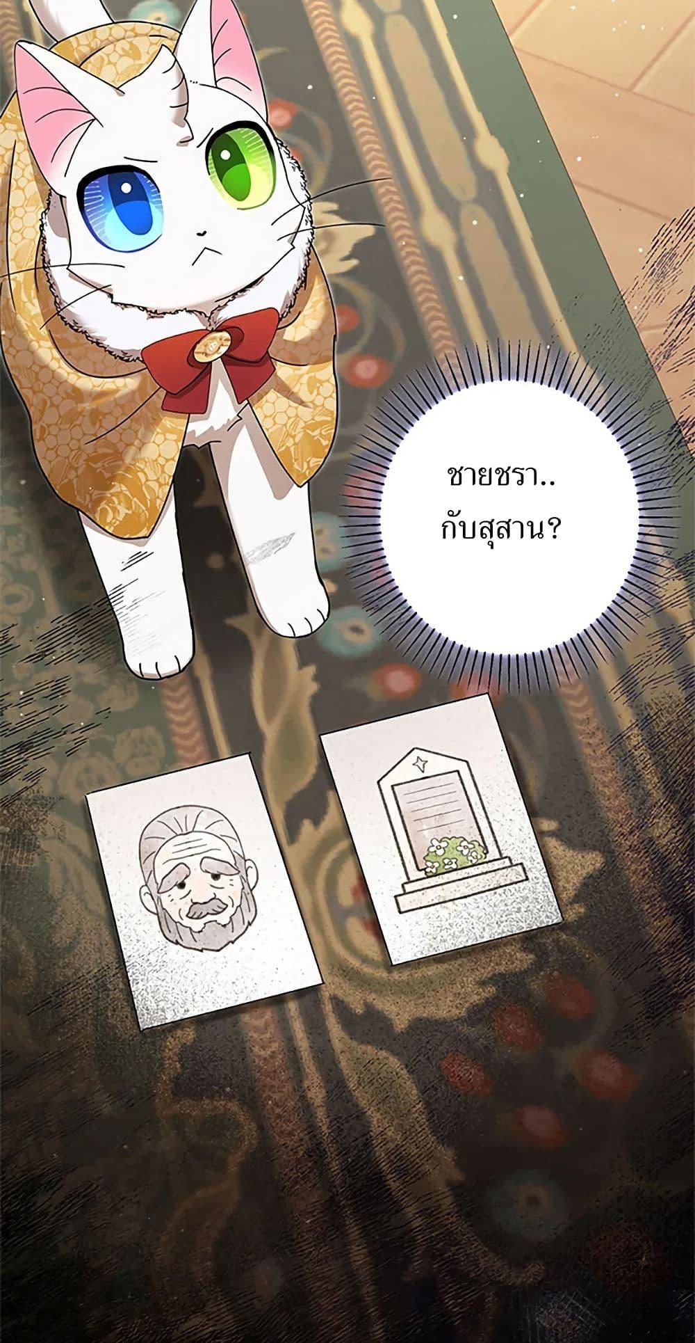 Manga-lc-com อ่านมังงะ อ่านการ์ตูน ออนไลน์ ฟรี I Became the Emperor’s Cat ตอนที่ 1 2 3 4 5 6 7 8 9 10 11 12 13 14 ฟรี ไม่มีโฆษณา Manga-lc - อ่าน มังงะ อ่าน การ์ตูน ออนไลน์ อ่านมังงะ ฟรี