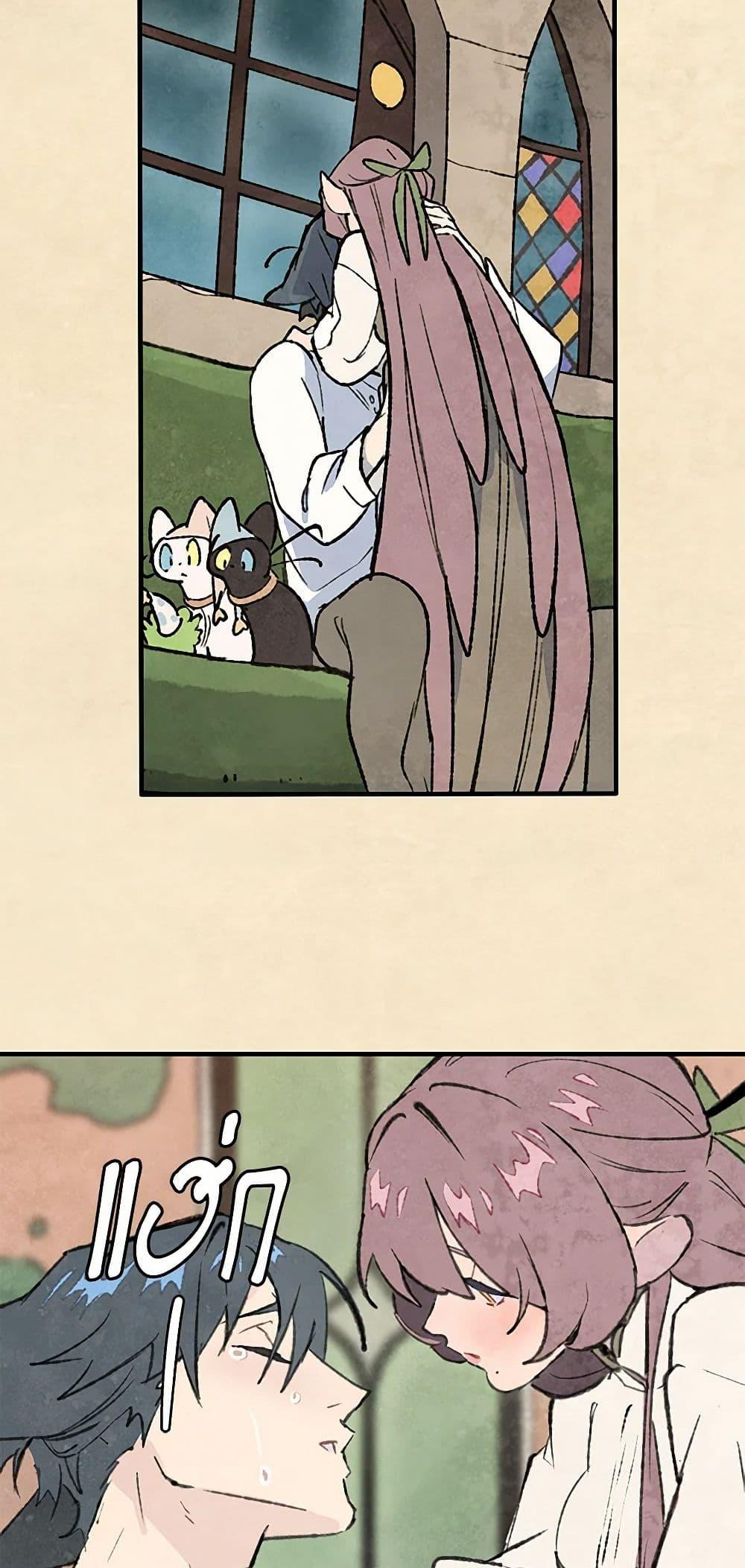 Manga-lc-com อ่านมังงะ อ่านการ์ตูน ออนไลน์ ฟรี Wait Where the Shooting Star Falls ตอนที่ 1 2 3 4 5 6 7 8 9 10 11 12 13 14 ฟรี ไม่มีโฆษณา Manga-lc - อ่าน มังงะ อ่าน การ์ตูน ออนไลน์ อ่านมังงะ ฟรี