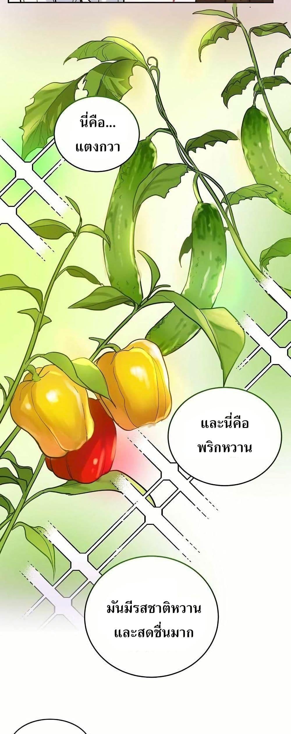 Manga-lc-com อ่านมังงะ อ่านการ์ตูน ออนไลน์ ฟรี Cooking Wizard ตอนที่ 1 2 3 4 5 6 7 8 9 10 11 12 13 14 ฟรี ไม่มีโฆษณา Manga-lc - อ่าน มังงะ อ่าน การ์ตูน ออนไลน์ อ่านมังงะ ฟรี