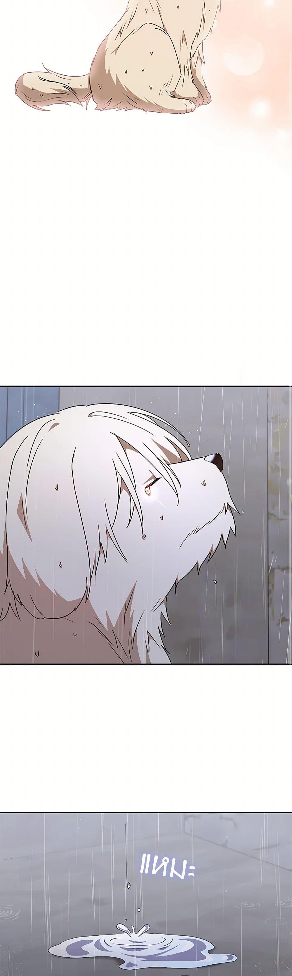 Manga-lc-com อ่านมังงะ อ่านการ์ตูน ออนไลน์ ฟรี Hello! Veterinarian! ตอนที่ 1 2 3 4 5 6 7 8 9 10 11 12 13 14 ฟรี ไม่มีโฆษณา Manga-lc - อ่าน มังงะ อ่าน การ์ตูน ออนไลน์ อ่านมังงะ ฟรี