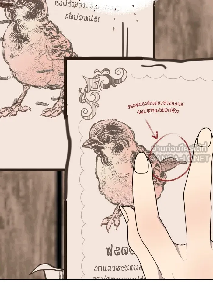 จันทร์เจ้า ตอนที่ ตอนที่ ๘  ยิ่งงดงามเท่าไหร่ยิ่งอั รูปที่ 78