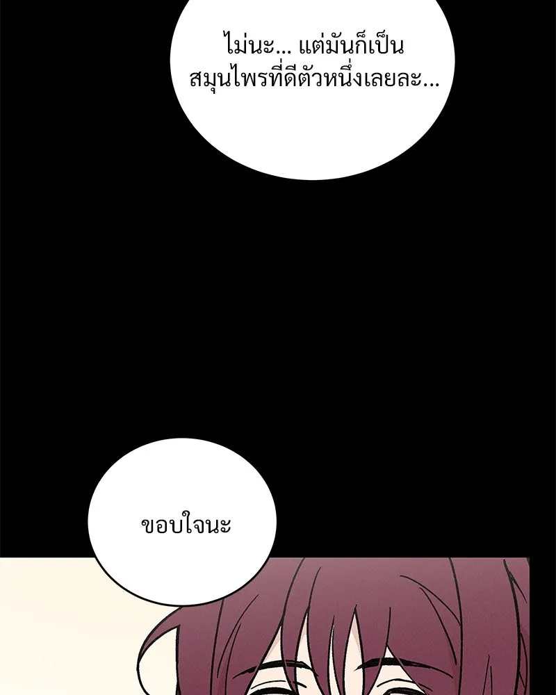 ข้าต้องไม่ใช่พระชายา ตอนที่ 41 รูปที่ 89