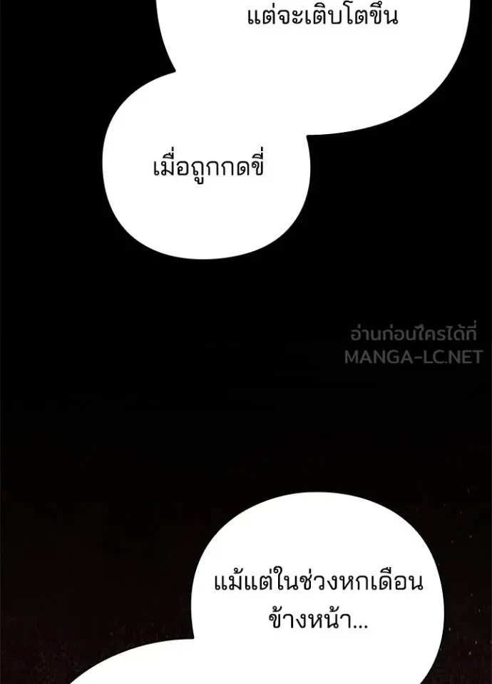 คืนแห่งโทแกบี ตอนที่ 82 รูปที่ 108