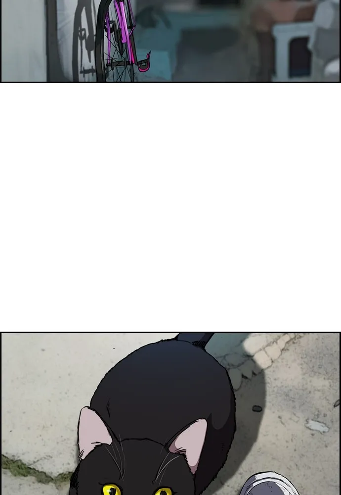 ปั่นสู้ฝันbrWind Breaker ตอนที่ 75 รูปที่ 69