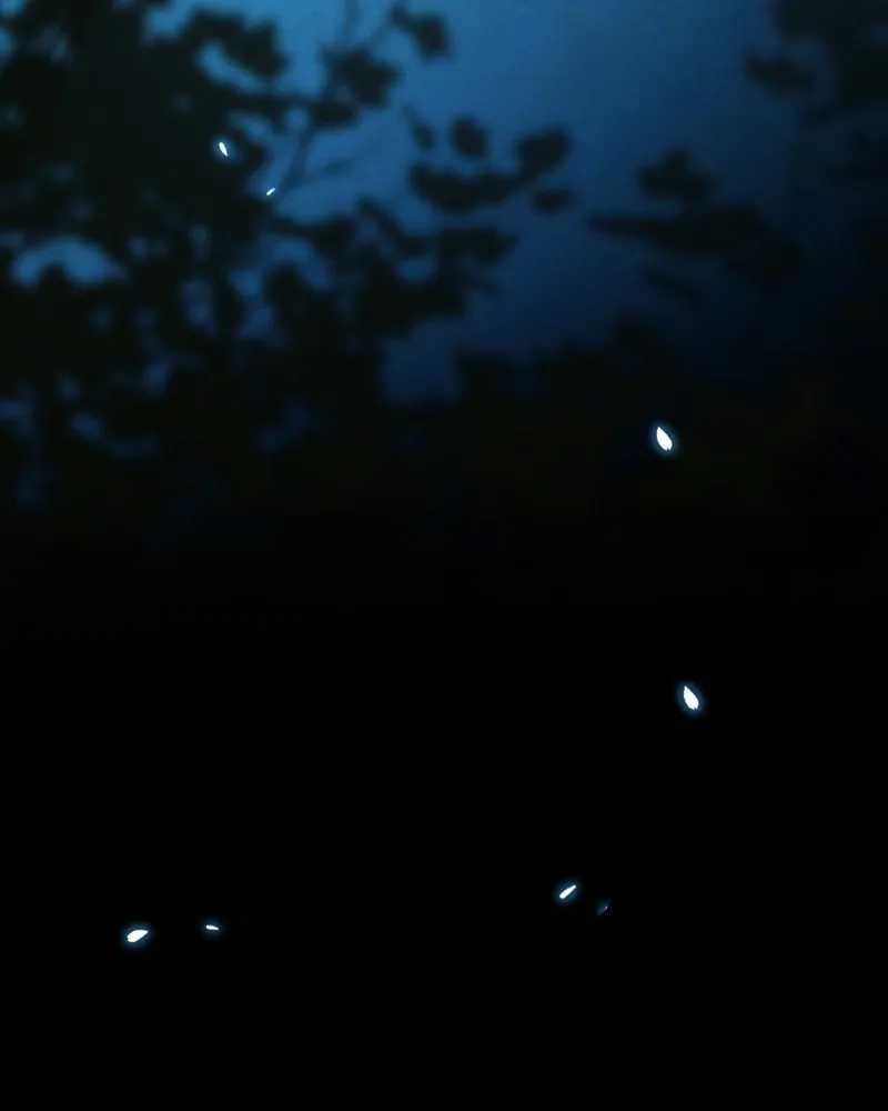 เซเรน่า ตอนที่ 93 รูปที่ 104