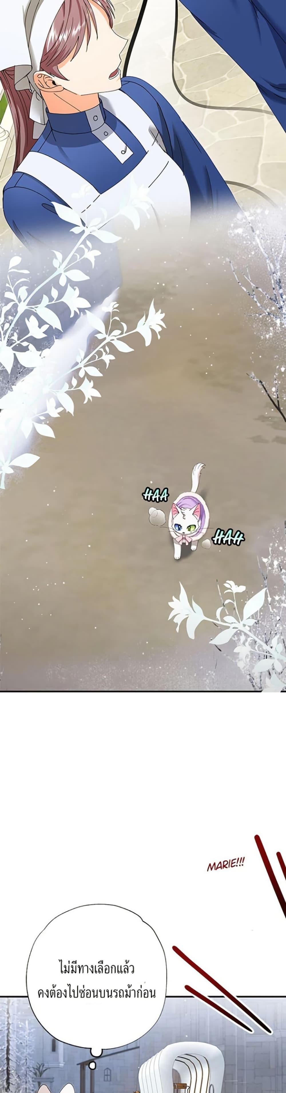 Manga-lc-com อ่านมังงะ อ่านการ์ตูน ออนไลน์ ฟรี I Became the Emperor’s Cat ตอนที่ 1 2 3 4 5 6 7 8 9 10 11 12 13 14 ฟรี ไม่มีโฆษณา Manga-lc - อ่าน มังงะ อ่าน การ์ตูน ออนไลน์ อ่านมังงะ ฟรี