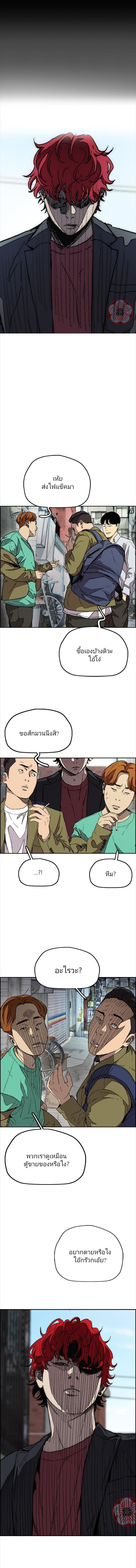 Manga-lc-com อ่านมังงะ อ่านการ์ตูน ออนไลน์ ฟรี Wind Breaker ปั่นสู้ฝัน ตอนที่ 1 2 3 4 5 6 7 8 9 10 11 12 13 14 ฟรี ไม่มีโฆษณา Manga-lc - อ่าน มังงะ อ่าน การ์ตูน ออนไลน์ อ่านมังงะ ฟรี