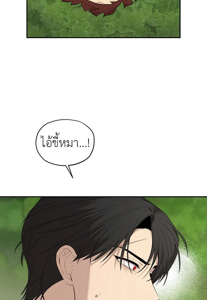 อัศวินเดลิเวอรี ตอนที่ 33 โฮลีโมลี รูปที่ 23