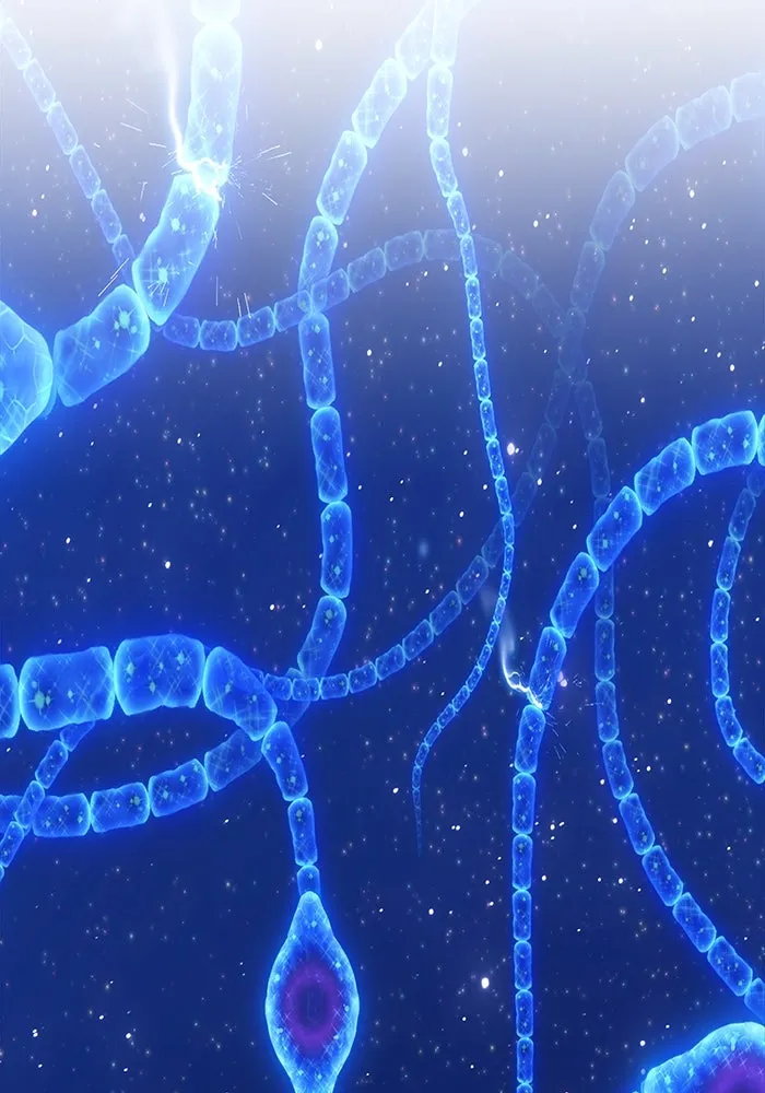 +99 ท่อนไม้พร้อมบวก ตอนที่ 64 รูปที่ 220