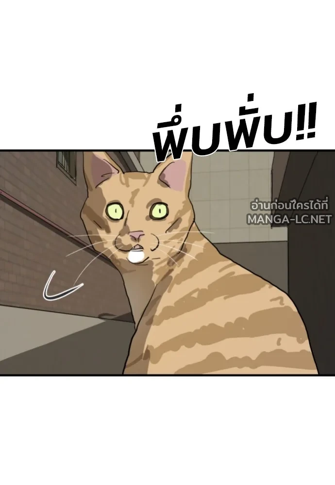 Manga-lc-com อ่านมังงะ อ่านการ์ตูน ออนไลน์ ฟรี วันดีคืนดี โซลก็ ตอนที่ 1 2 3 4 5 6 7 8 9 10 11 12 13 14 ฟรี ไม่มีโฆษณา Manga-lc - อ่าน มังงะ อ่าน การ์ตูน ออนไลน์ อ่านมังงะ ฟรี