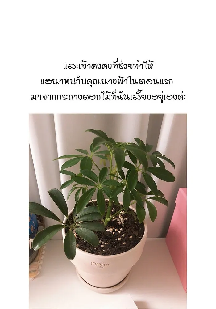 เพียงลมหนาว ตอนที่ บทส่งท้าย รูปที่ 20