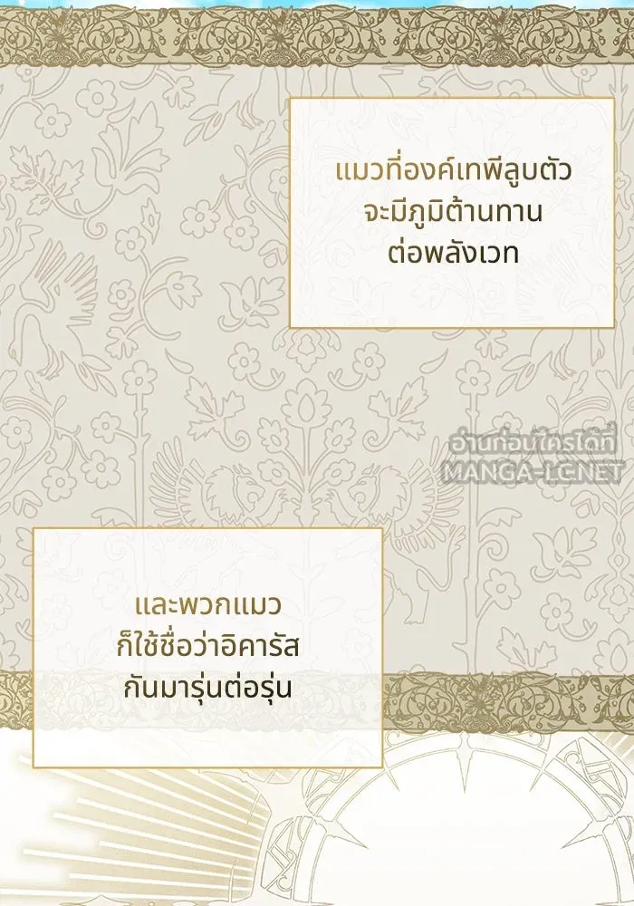 แมวน้อยในรังหมาป่า ตอนที่ 14 รูปที่ 84