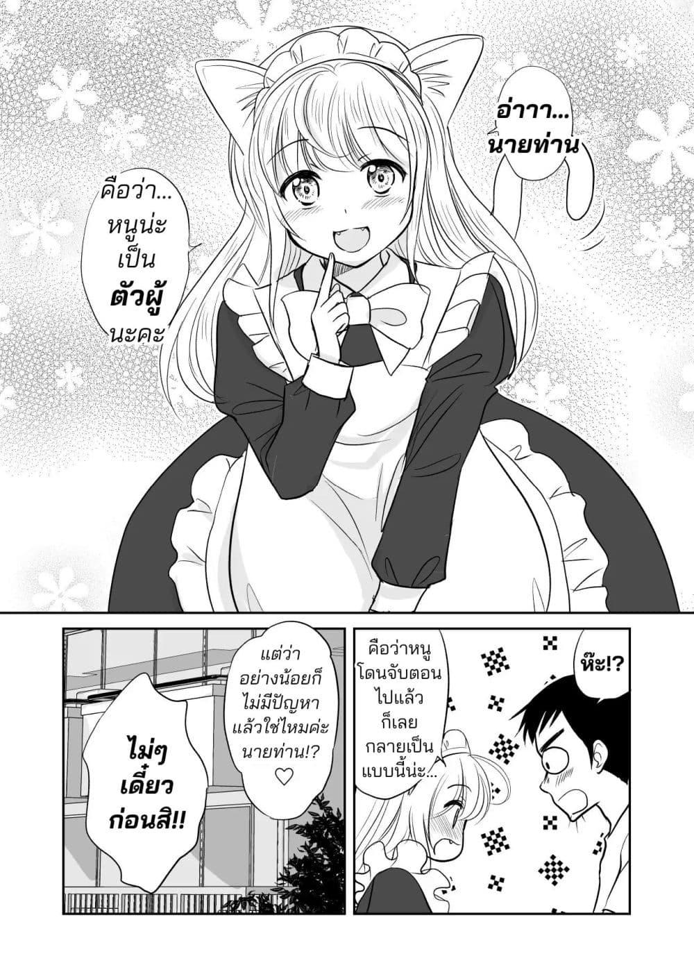 Manga-lc-com อ่านมังงะ อ่านการ์ตูน ออนไลน์ ฟรี Asa Okitara Kinpatsu Neko Mimi Meido ga Daidokoro ni Tatteita ตอนที่ 1 2 3 4 5 6 7 8 9 10 11 12 13 14 ฟรี ไม่มีโฆษณา Manga-lc - อ่าน มังงะ อ่าน การ์ตูน ออนไลน์ อ่านมังงะ ฟรี
