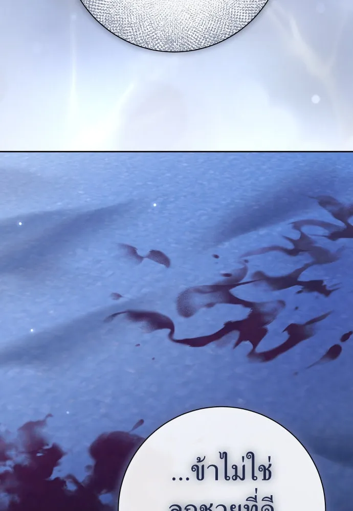 ชิงชีวิตพลิกลิขิตชะตา ตอนที่ 209. เหตุลอบปลงพระชนม์องค์ชาย(แผน รูปที่ 28