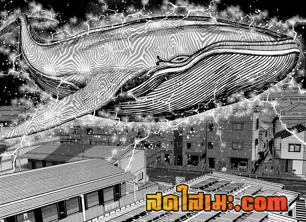 Manga-lc-com อ่านมังงะ อ่านการ์ตูน ออนไลน์ ฟรี Dandadan ตอนที่ 1 2 3 4 5 6 7 8 9 10 11 12 13 14 ฟรี ไม่มีโฆษณา Manga-lc - อ่าน มังงะ อ่าน การ์ตูน ออนไลน์ อ่านมังงะ ฟรี