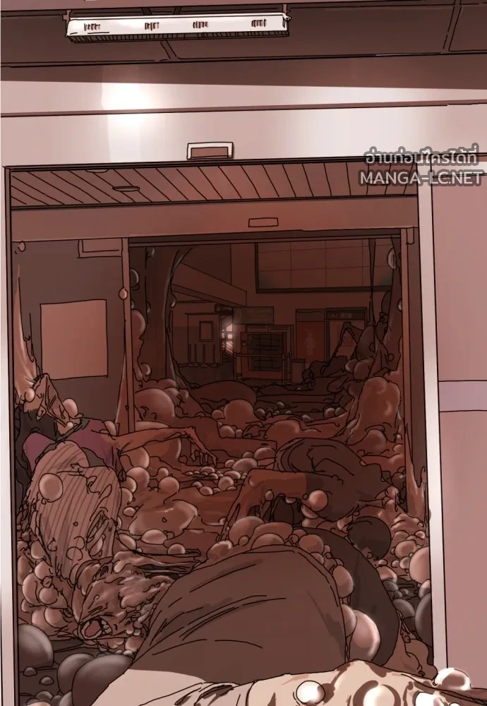 Manga-lc-com อ่านมังงะ อ่านการ์ตูน ออนไลน์ ฟรี วันดีคืนดี โซลก็ ตอนที่ 1 2 3 4 5 6 7 8 9 10 11 12 13 14 ฟรี ไม่มีโฆษณา Manga-lc - อ่าน มังงะ อ่าน การ์ตูน ออนไลน์ อ่านมังงะ ฟรี