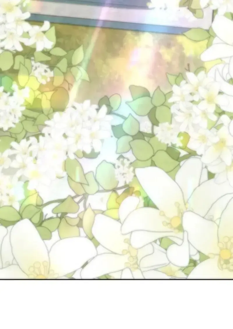 Archmage Transcending Through Regression ตอนที่ ตอนที่ 154 รูปที่ 139