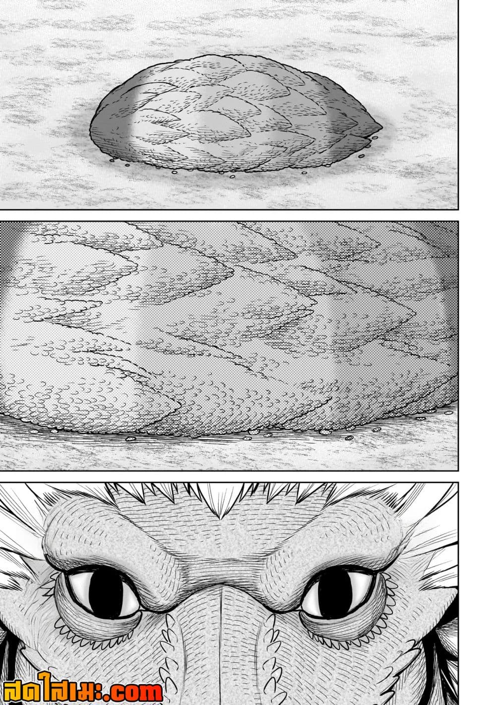 Manga-lc-com อ่านมังงะ อ่านการ์ตูน ออนไลน์ ฟรี Ninja no Kishi ตอนที่ 1 2 3 4 5 6 7 8 9 10 11 12 13 14 ฟรี ไม่มีโฆษณา Manga-lc - อ่าน มังงะ อ่าน การ์ตูน ออนไลน์ อ่านมังงะ ฟรี