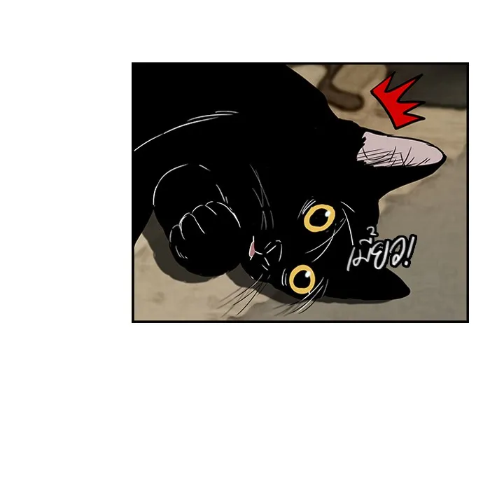 ปั่นสู้ฝันbrWind Breaker ตอนที่ [season 1] ตอนพิเศษ รูปที่ 10