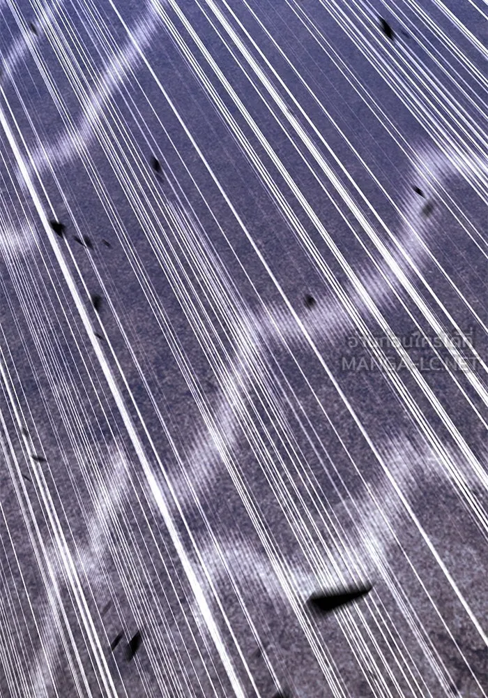 +99 ท่อนไม้พร้อมบวก ตอนที่ 51 รอบชิง (5) รูปที่ 63