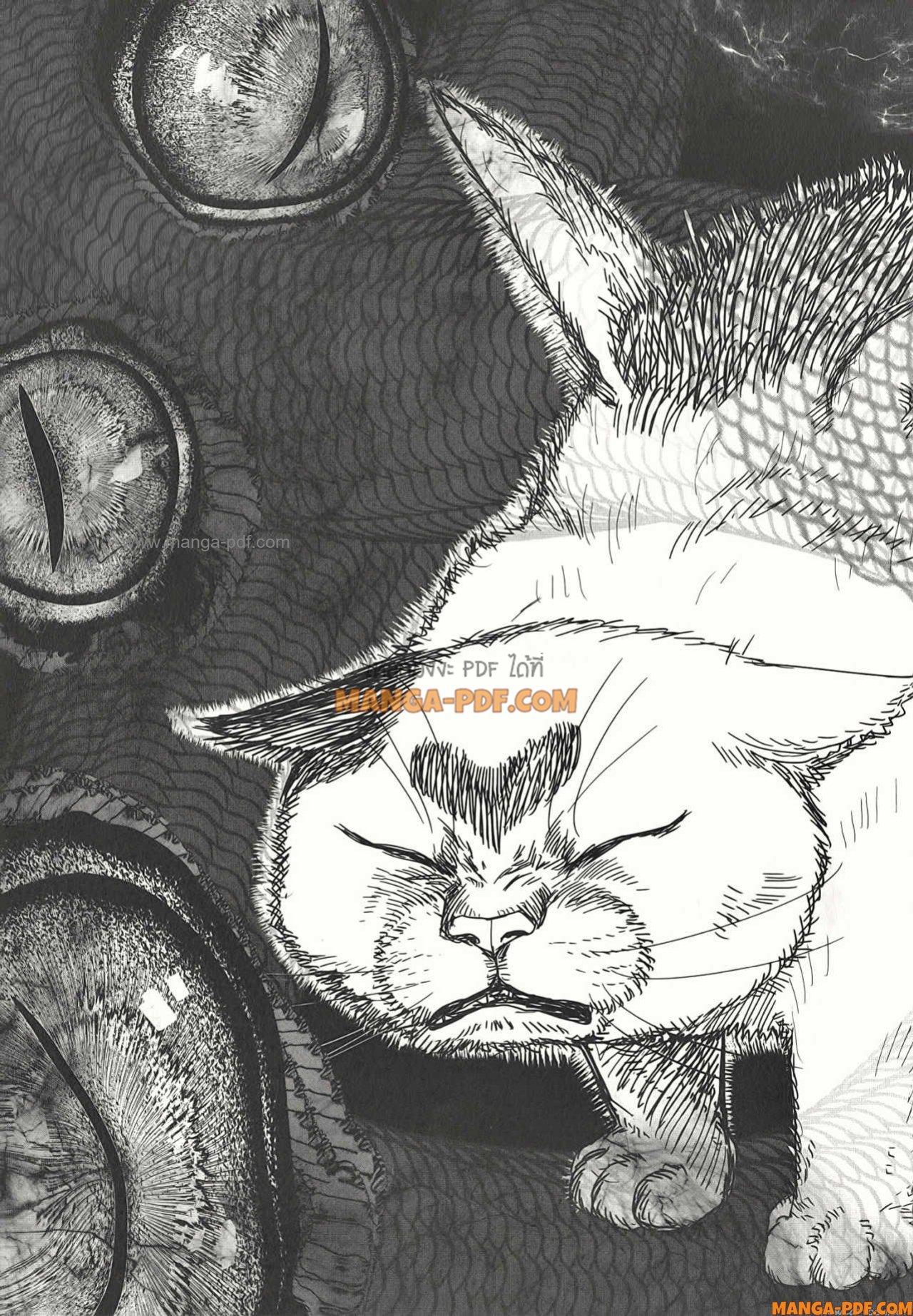 Manga-lc-com อ่านมังงะ อ่านการ์ตูน ออนไลน์ ฟรี After God ตอนที่ 1 2 3 4 5 6 7 8 9 10 11 12 13 14 ฟรี ไม่มีโฆษณา Manga-lc - อ่าน มังงะ อ่าน การ์ตูน ออนไลน์ อ่านมังงะ ฟรี