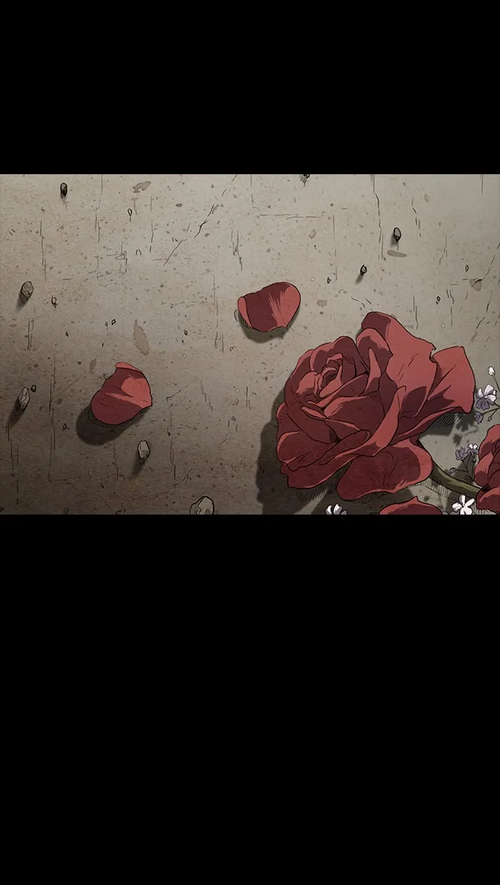 ปั่นสู้ฝันbrWind Breaker ตอนที่ 52 รูปที่ 37