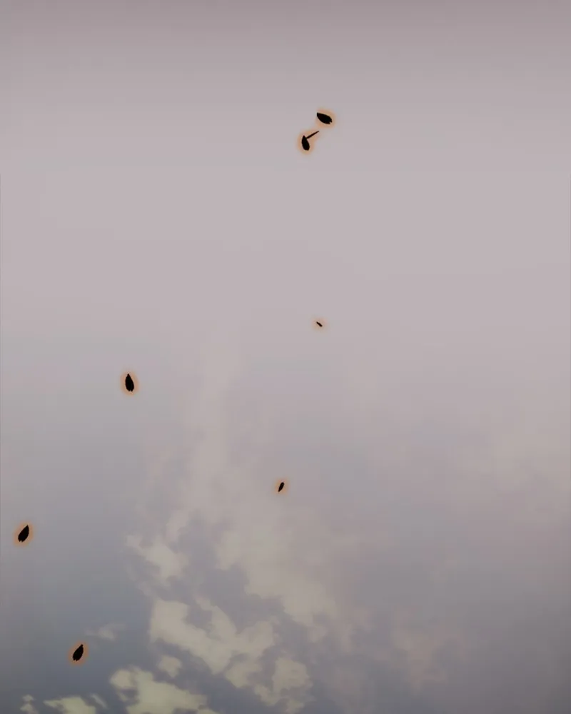 เซเรน่า ตอนที่ 94 รูปที่ 79