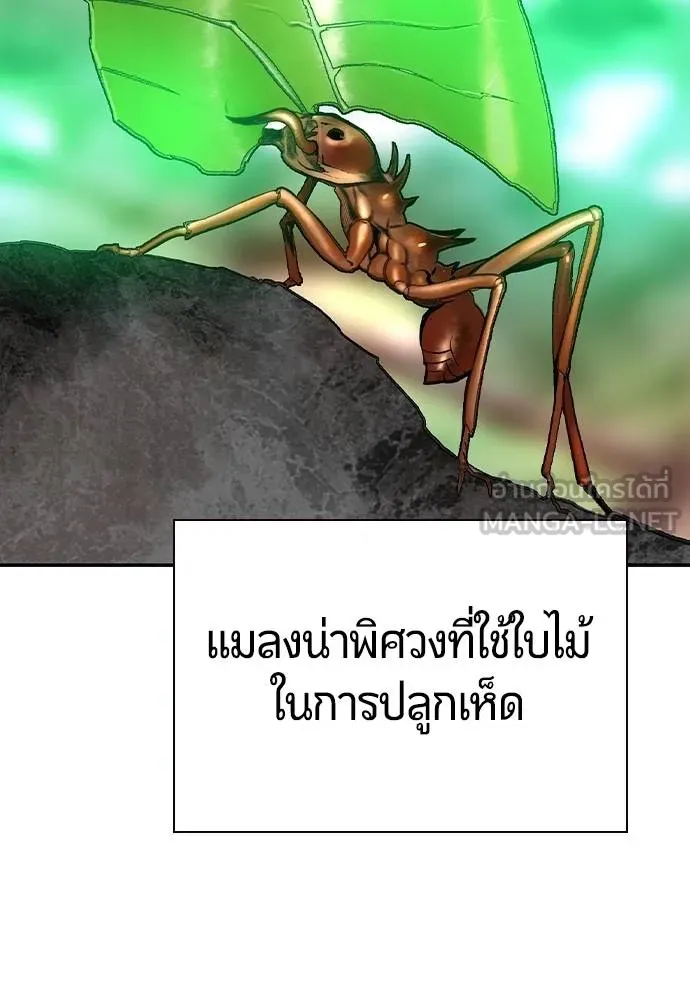 Jungle Juice ตอนที่ 149 รูปที่ 32