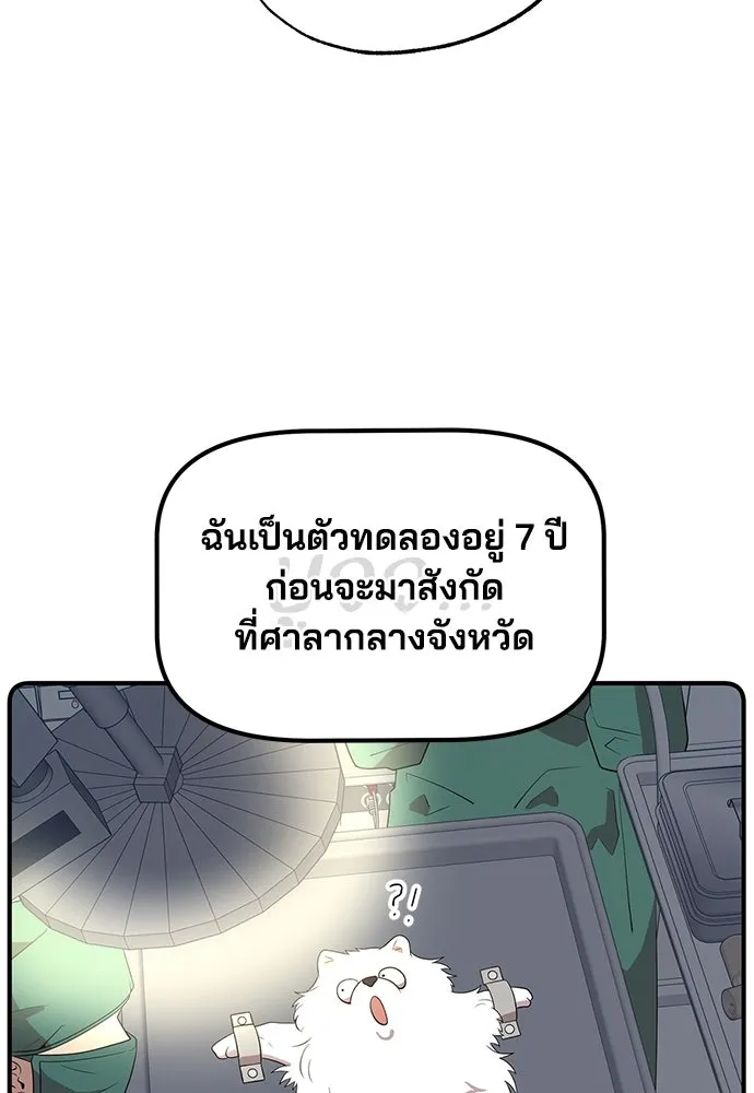 ร้านสะดวกซื้อต่างโลก ตอนที่ 42 รูปที่ 19