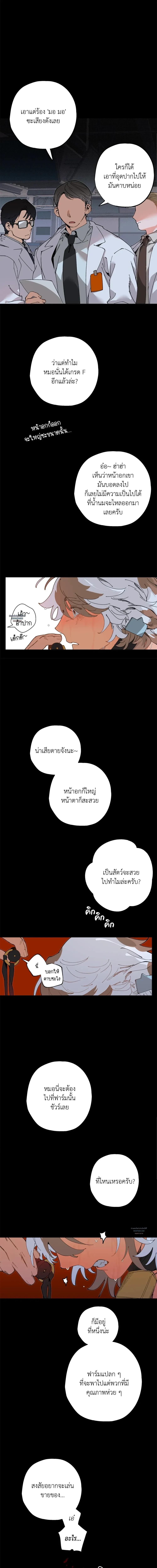 Doujin-Lc- อ่าน โดจิน มังฮวา เกาหลี ญี่ปุ่น จีน แปลไทย Mr.A's Farm ตอนที่ 1 2 3 4 5 6 7 8 9 10 11 12 13 14 ฟรี ไม่มีโฆษณา อ่าน โดจิน Manhwa เกาหลี ญี่ปุ่น จีน เรามีครบ คัดมาให้เน้นๆ โดจิน 18+ รับประกันความฟินโดย  Doujin Lc