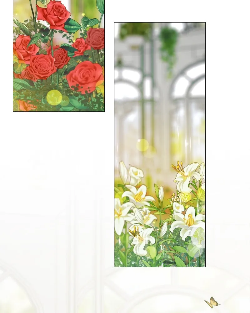 เซเรน่า ตอนที่ 6 รูปที่ 2