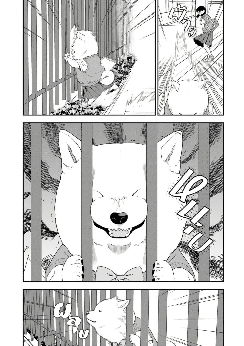 Manga-lc-com อ่านมังงะ อ่านการ์ตูน ออนไลน์ ฟรี Inuta-san ตอนที่ 1 2 3 4 5 6 7 8 9 10 11 12 13 14 ฟรี ไม่มีโฆษณา Manga-lc - อ่าน มังงะ อ่าน การ์ตูน ออนไลน์ อ่านมังงะ ฟรี