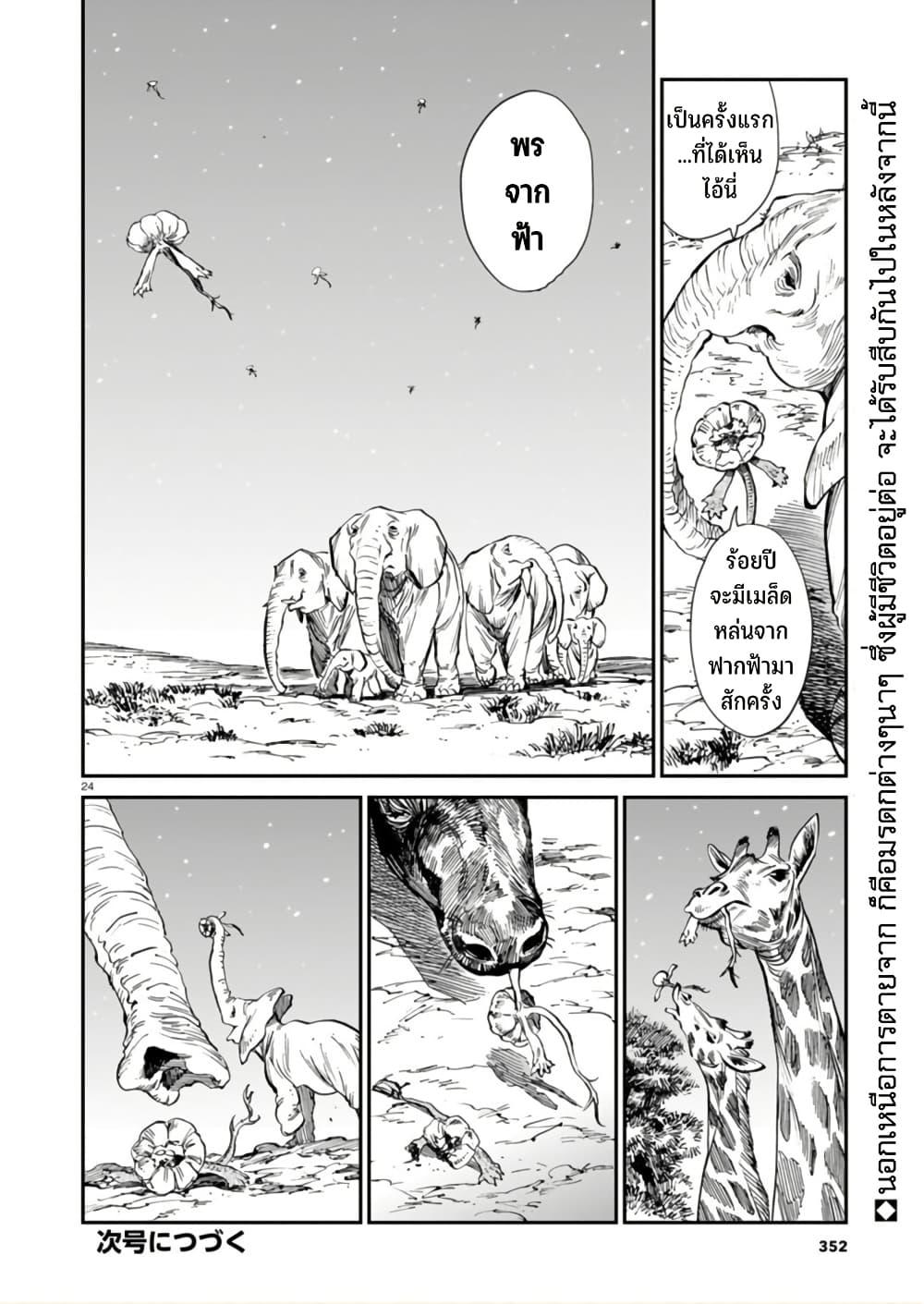 Manga-lc-com อ่านมังงะ อ่านการ์ตูน ออนไลน์ ฟรี Tora ha Ryuu wo mada Tabenai ตอนที่ 1 2 3 4 5 6 7 8 9 10 11 12 13 14 ฟรี ไม่มีโฆษณา Manga-lc - อ่าน มังงะ อ่าน การ์ตูน ออนไลน์ อ่านมังงะ ฟรี