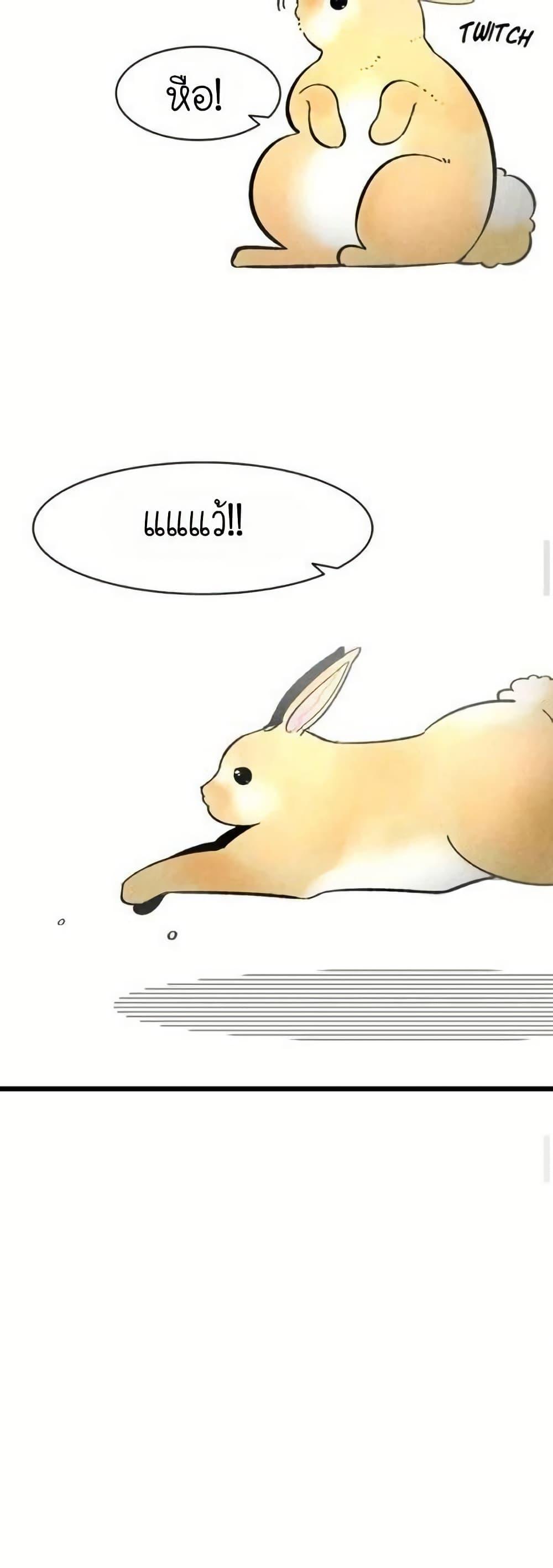 Manga-lc-com อ่านมังงะ อ่านการ์ตูน ออนไลน์ ฟรี The Skeleton Becomes a Cat Dad ตอนที่ 1 2 3 4 5 6 7 8 9 10 11 12 13 14 ฟรี ไม่มีโฆษณา Manga-lc - อ่าน มังงะ อ่าน การ์ตูน ออนไลน์ อ่านมังงะ ฟรี