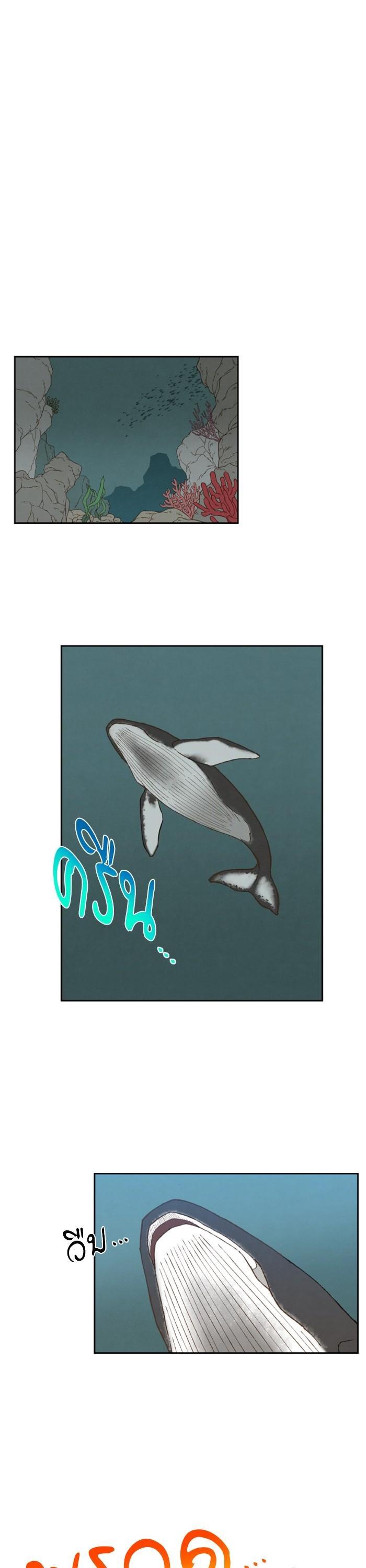 Manga-lc-com อ่านมังงะ อ่านการ์ตูน ออนไลน์ ฟรี How to Become a Dragon ตอนที่ 1 2 3 4 5 6 7 8 9 10 11 12 13 14 ฟรี ไม่มีโฆษณา Manga-lc - อ่าน มังงะ อ่าน การ์ตูน ออนไลน์ อ่านมังงะ ฟรี