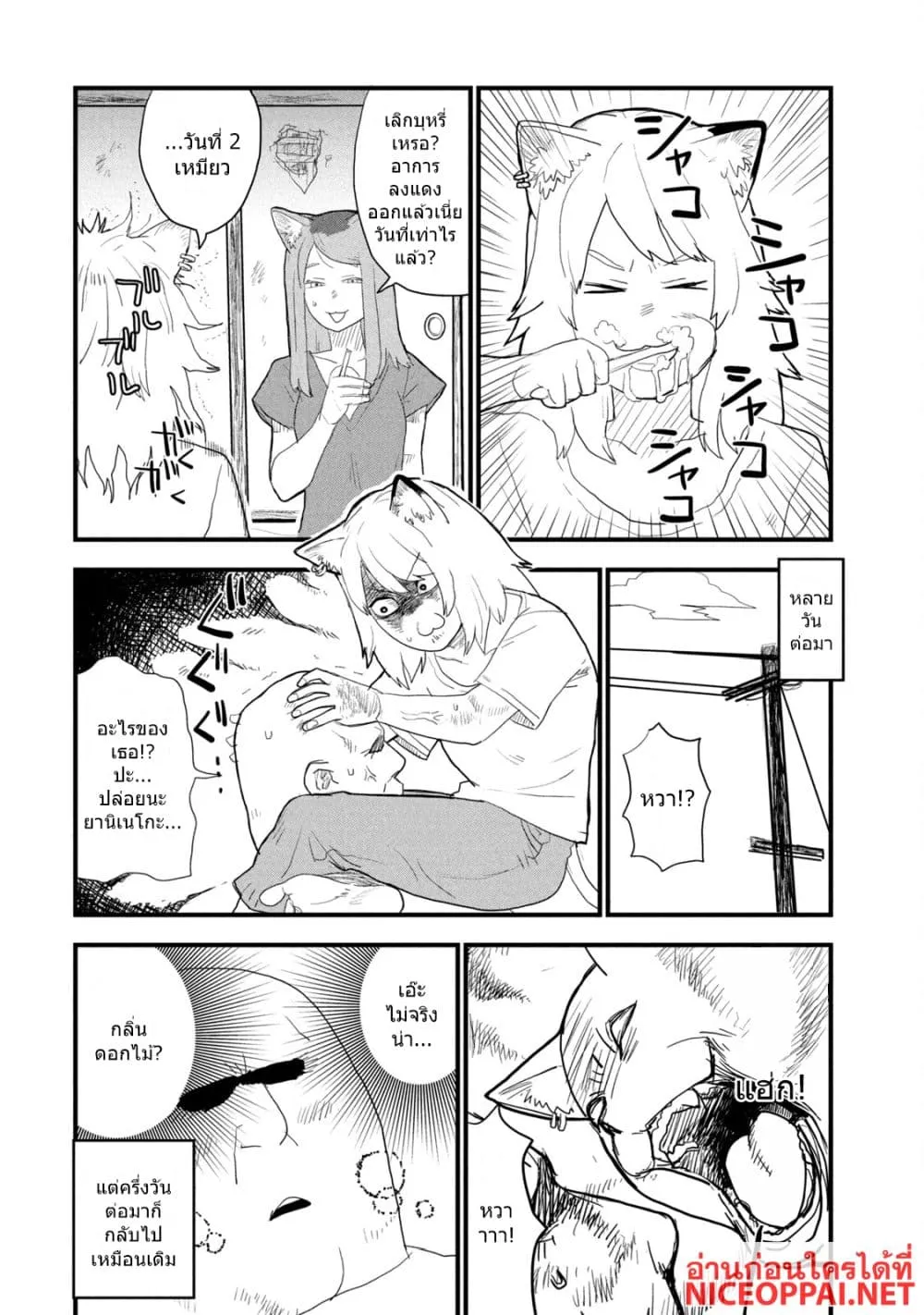 Manga-lc-com อ่านมังงะ อ่านการ์ตูน ออนไลน์ ฟรี Yani Neko ตอนที่ 1 2 3 4 5 6 7 8 9 10 11 12 13 14 ฟรี ไม่มีโฆษณา Manga-lc - อ่าน มังงะ อ่าน การ์ตูน ออนไลน์ อ่านมังงะ ฟรี